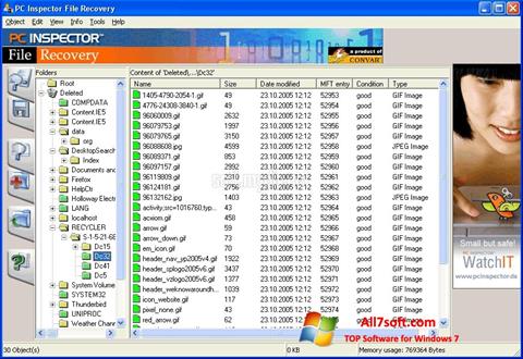 Zrzut ekranu PC Inspector File Recovery na Windows 7
