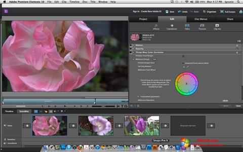 Zrzut ekranu Adobe Premiere Elements na Windows 7