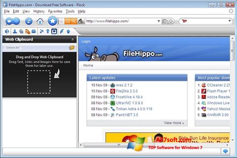Zrzut ekranu Flock na Windows 7