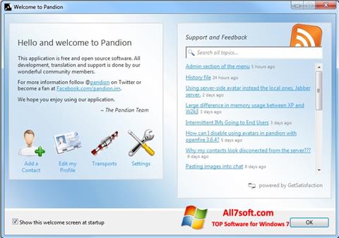 Zrzut ekranu Pandion na Windows 7