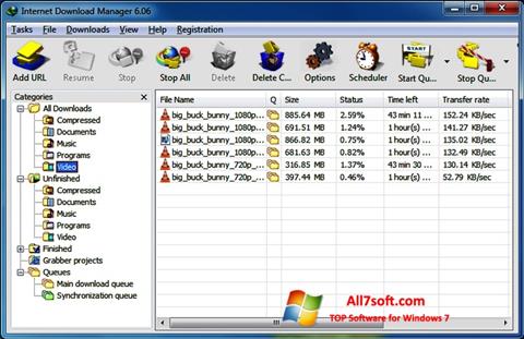Zrzut ekranu Internet Download Manager na Windows 7
