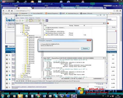 Zrzut ekranu DMDE na Windows 7