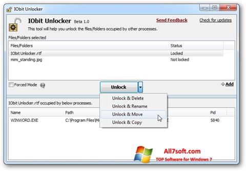 Zrzut ekranu IObit Unlocker na Windows 7