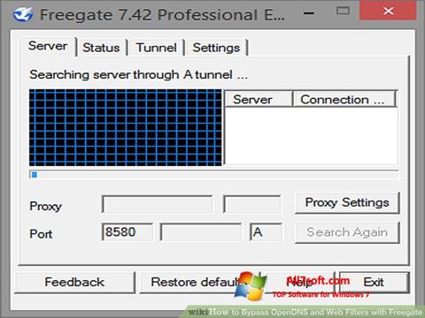 Zrzut ekranu Freegate na Windows 7