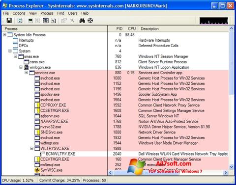 Zrzut ekranu Process Explorer na Windows 7