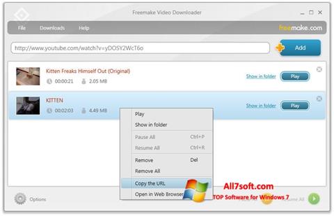 Zrzut ekranu Freemake Video Downloader na Windows 7